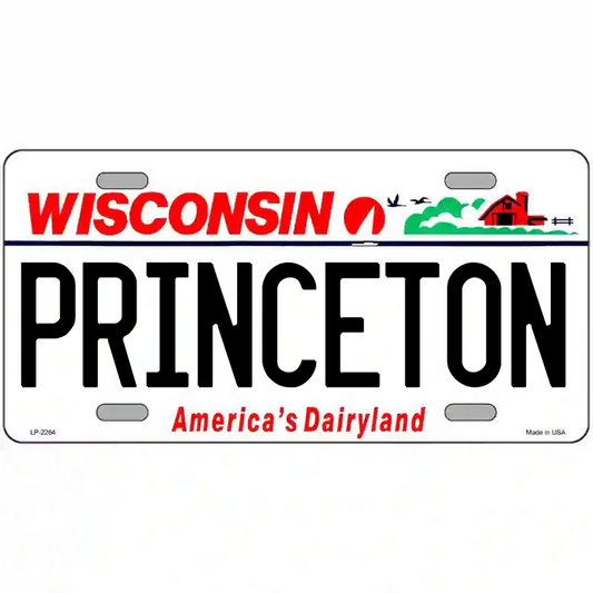 Princeton Wisconsin Metal Sign