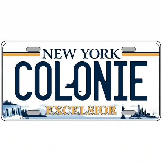 Colonie New York Excelsior Metal Sign