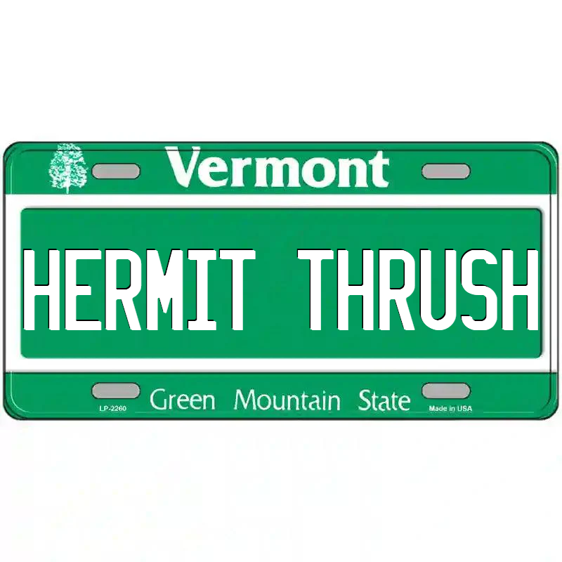 Hermit Thrash Vermont Metal Sign