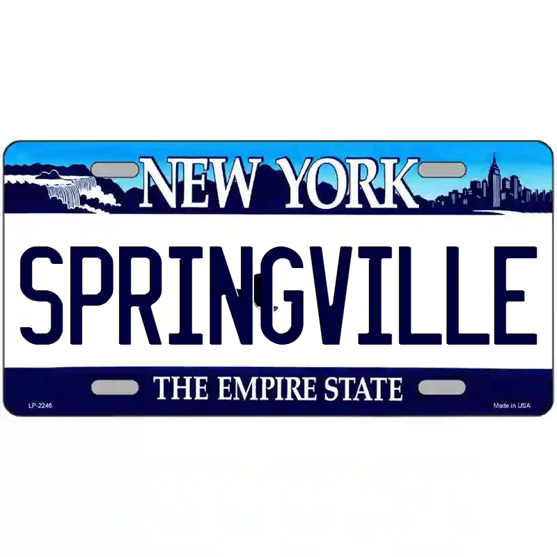 Springville New York Blue Metal Sign
