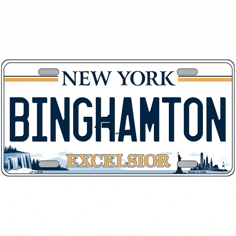 Binghamton New York Excelsior Metal Sign