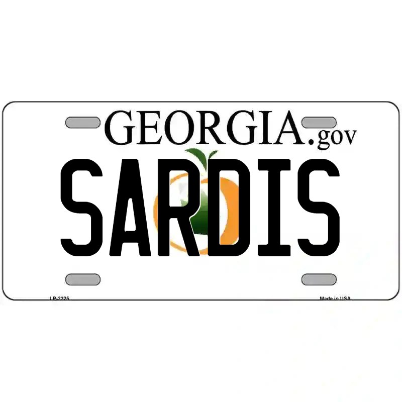 Sardis Georgia Metal Sign
