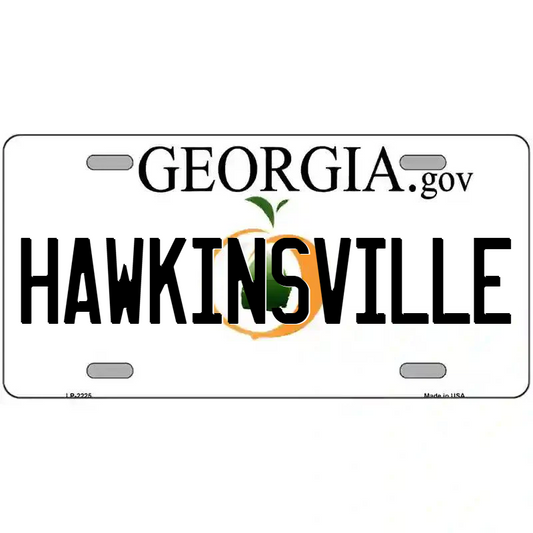 Hawkinsville Georgia Metal Sign