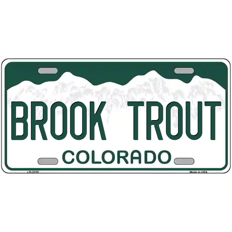 Brook Trout Colorado Metal Sign