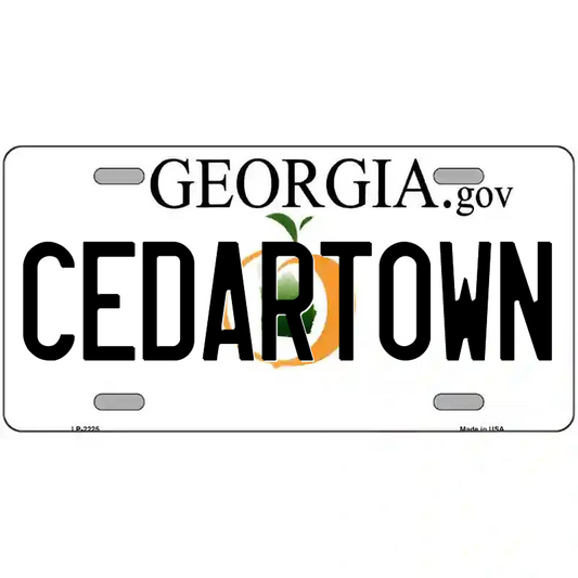 Cedartown Georgia Metal Sign