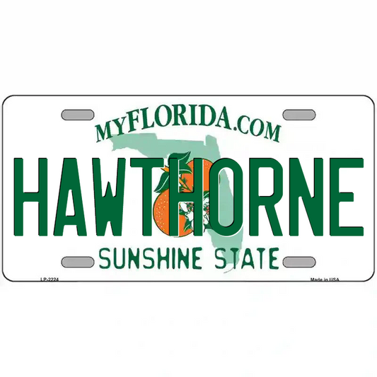 Hawthorne Florida Metal Sign