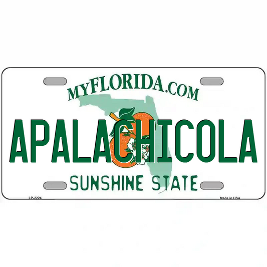 Apalachicola Florida Metal Sign