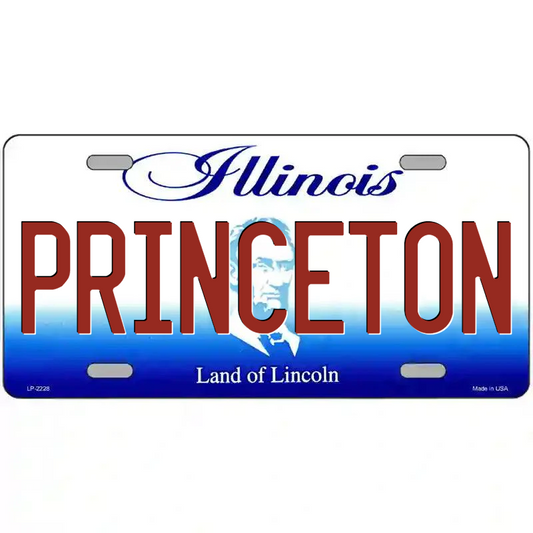 Princeton Illinois Metal Sign