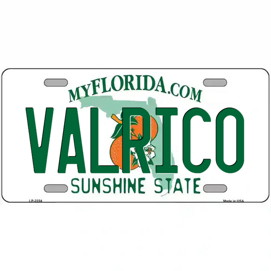 Valrico Florida Metal Sign