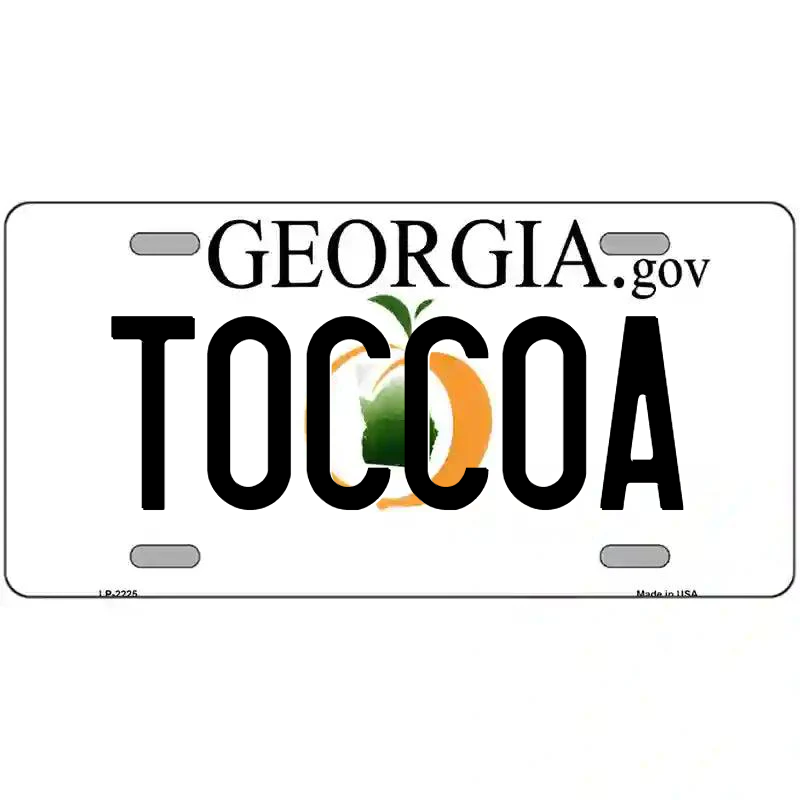 Toccoa Georgia Metal Sign