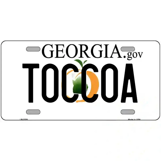 Toccoa Georgia Metal Sign