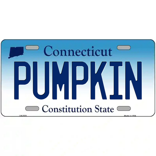 Pumpkin Connecticut Metal Sign