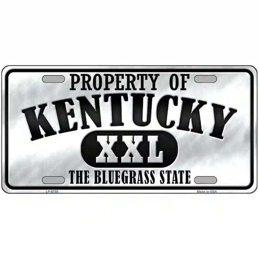 Property of Kentucky The Bluegrass State Metal Sign